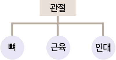 허리통증/협착증